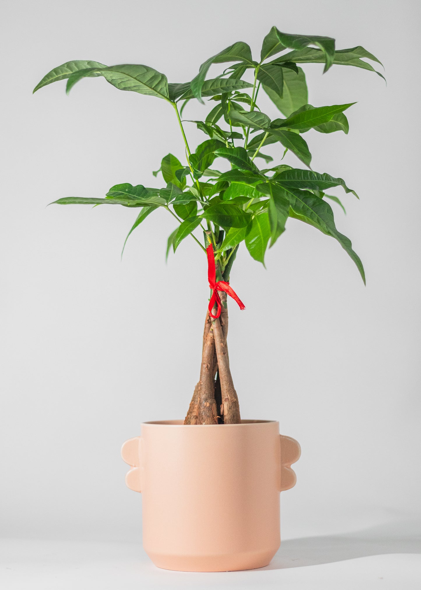 pink planter with bubbled ears