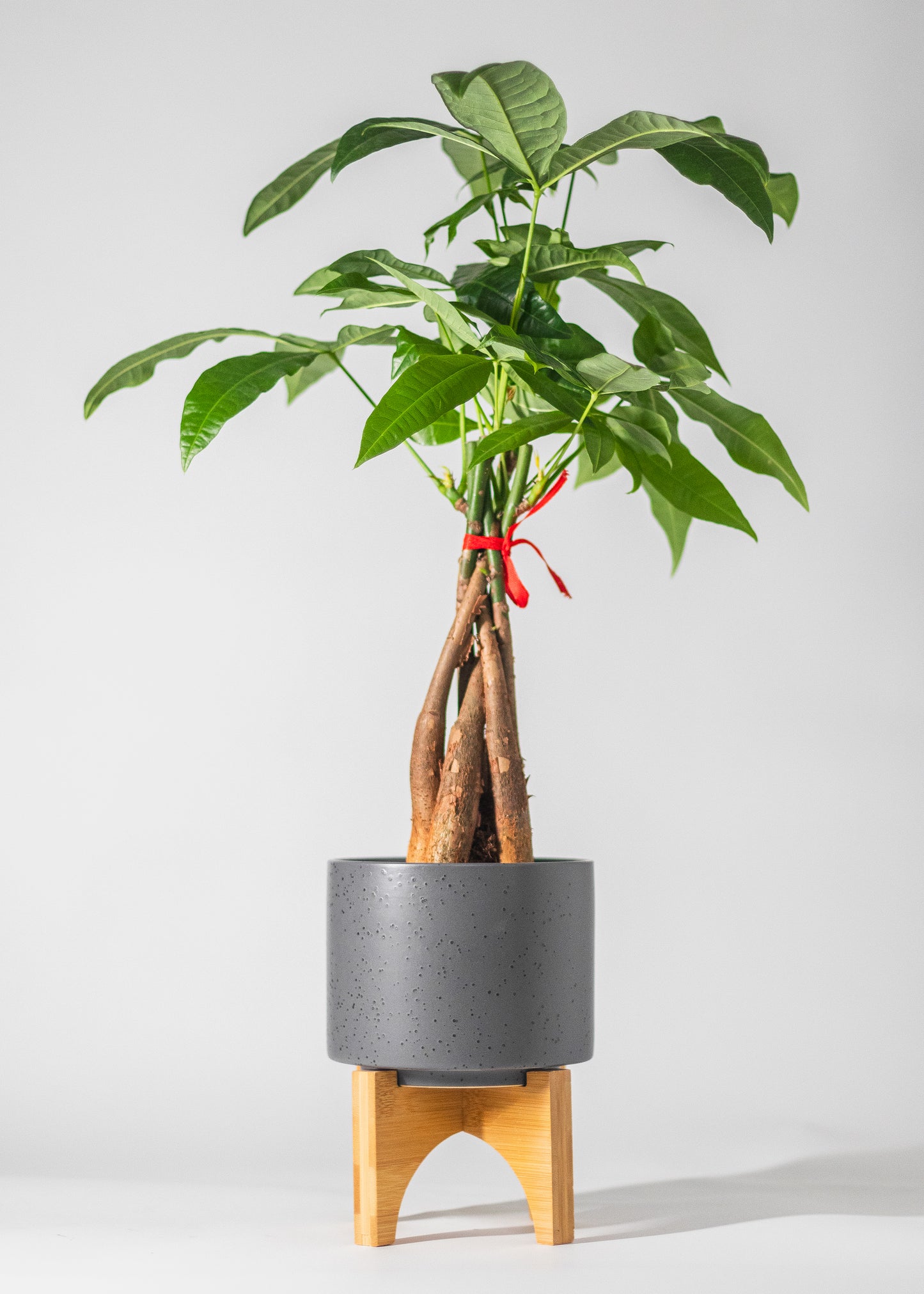 gray planter with speckles of black on wooden food