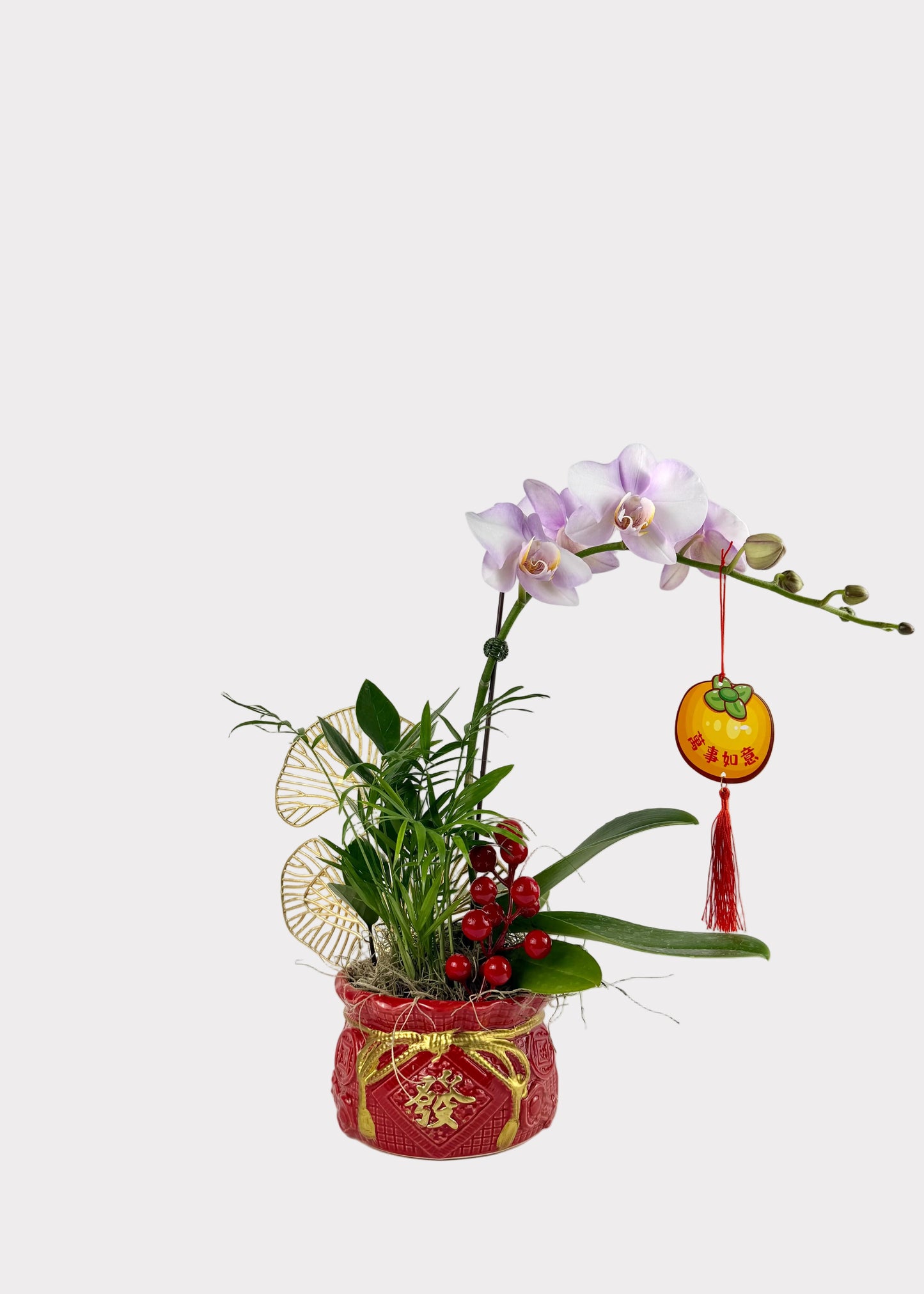 Lunar New Year Orchid Arrangement - Premium Foliage - Red Wealth Pot