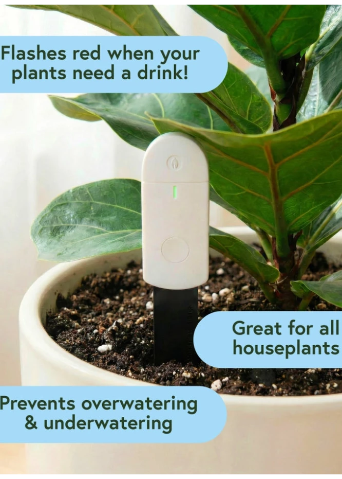 We The Wild Soil Moisture Meter for Indoor Plants - Easy Watering Indicator Tool with Light Sensor & Battery Included