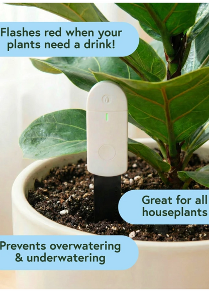 We The Wild Soil Moisture Meter for Indoor Plants - Easy Watering Indicator Tool with Light Sensor & Battery Included