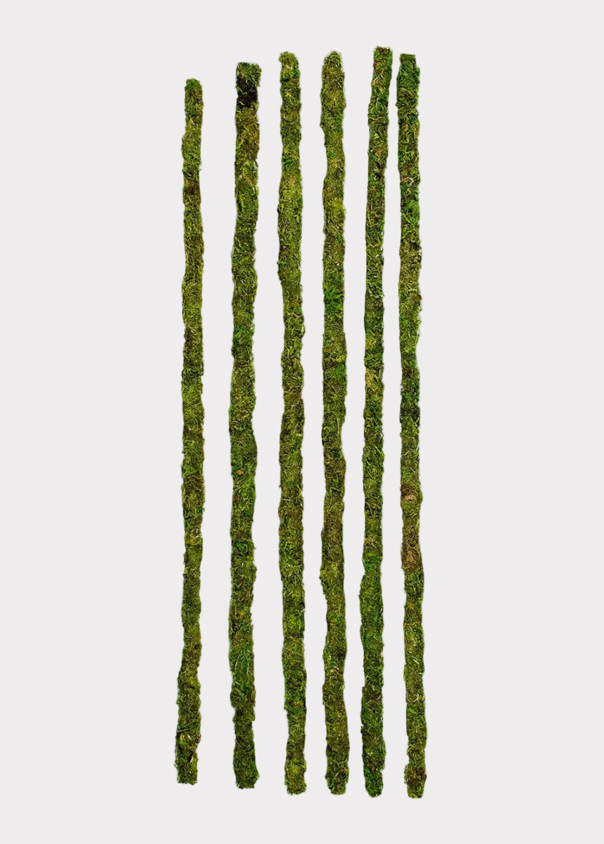 Set of green moss-covered sticks on a white background
