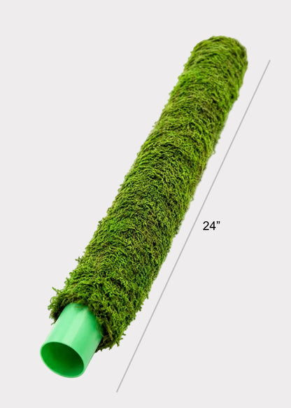 SuperMoss Moss Pole Plant Support