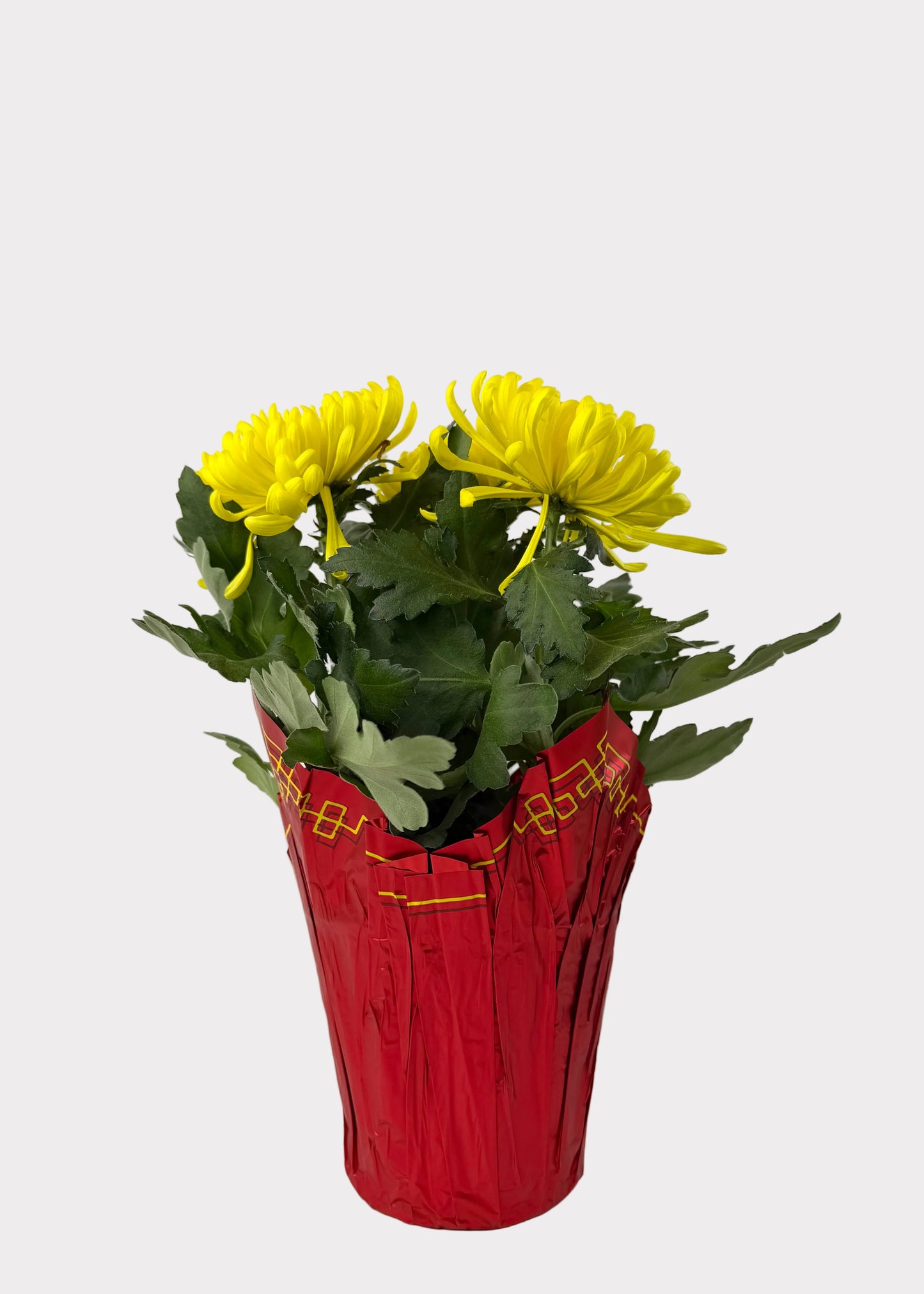 China Mum