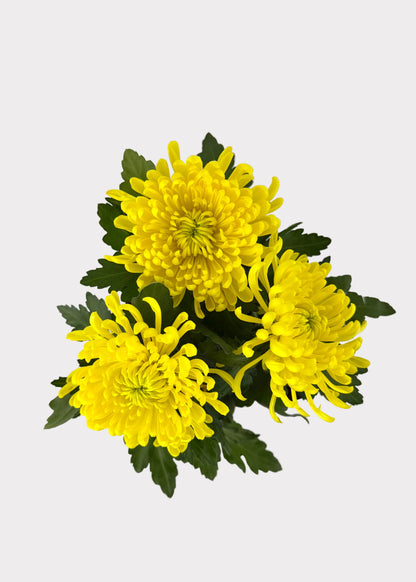 China Mum
