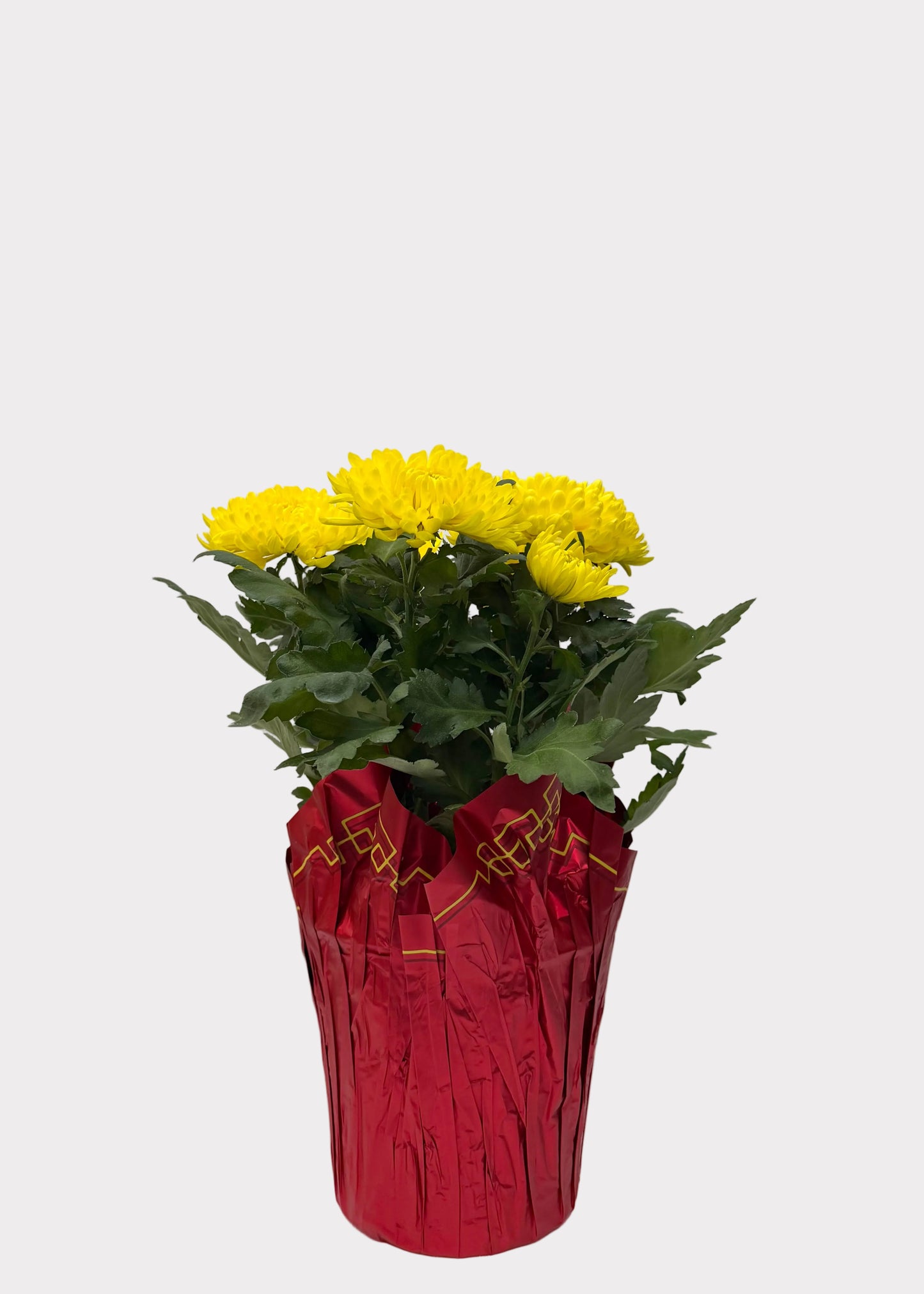 China Mum