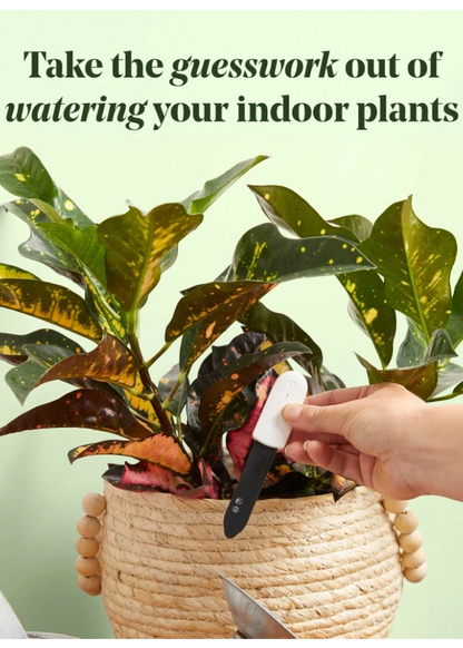 We The Wild Soil Moisture Meter for Indoor Plants - Easy Watering Indicator Tool with Light Sensor & Battery Included