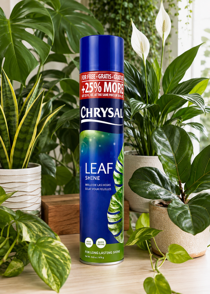 Chrysal Leaf Shine Spray - High Gloss & Quick Drying (750mL)