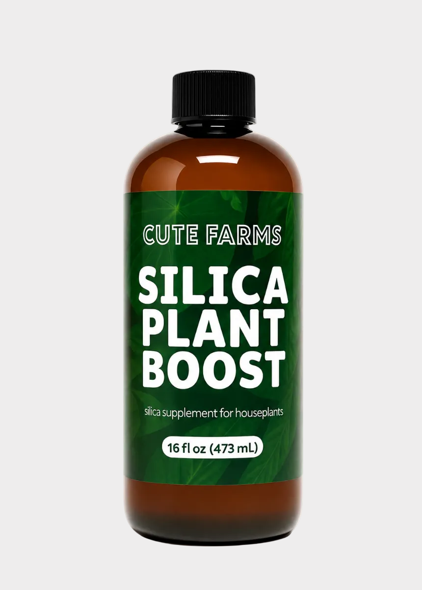 A 16 fl oz amber plastic bottle of Cute Farms Silica Plant Boost with a black cap and a green label, shown on a plain white background.
