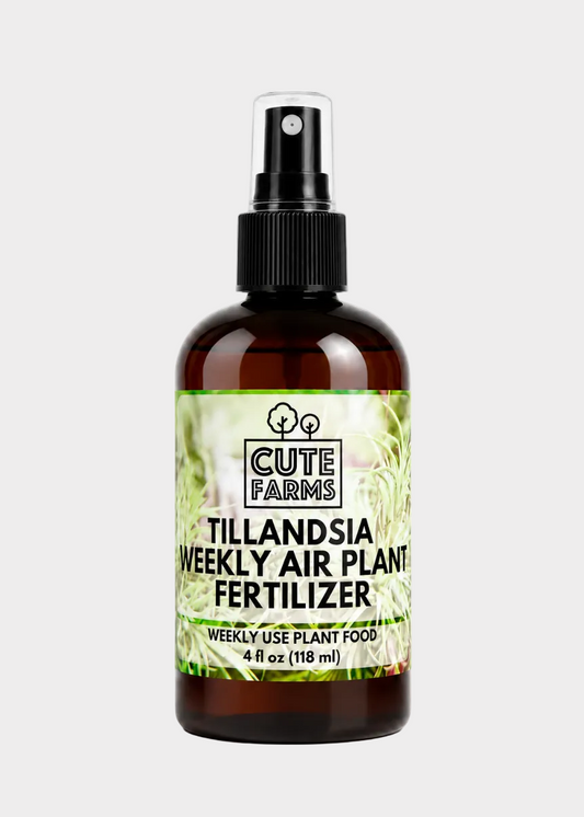 A 4 fl oz amber glass spray bottle of Cute Farms Tillandsia Weekly Air Plant Fertilizer with a black spray cap and a green and white label, shown on a white background.