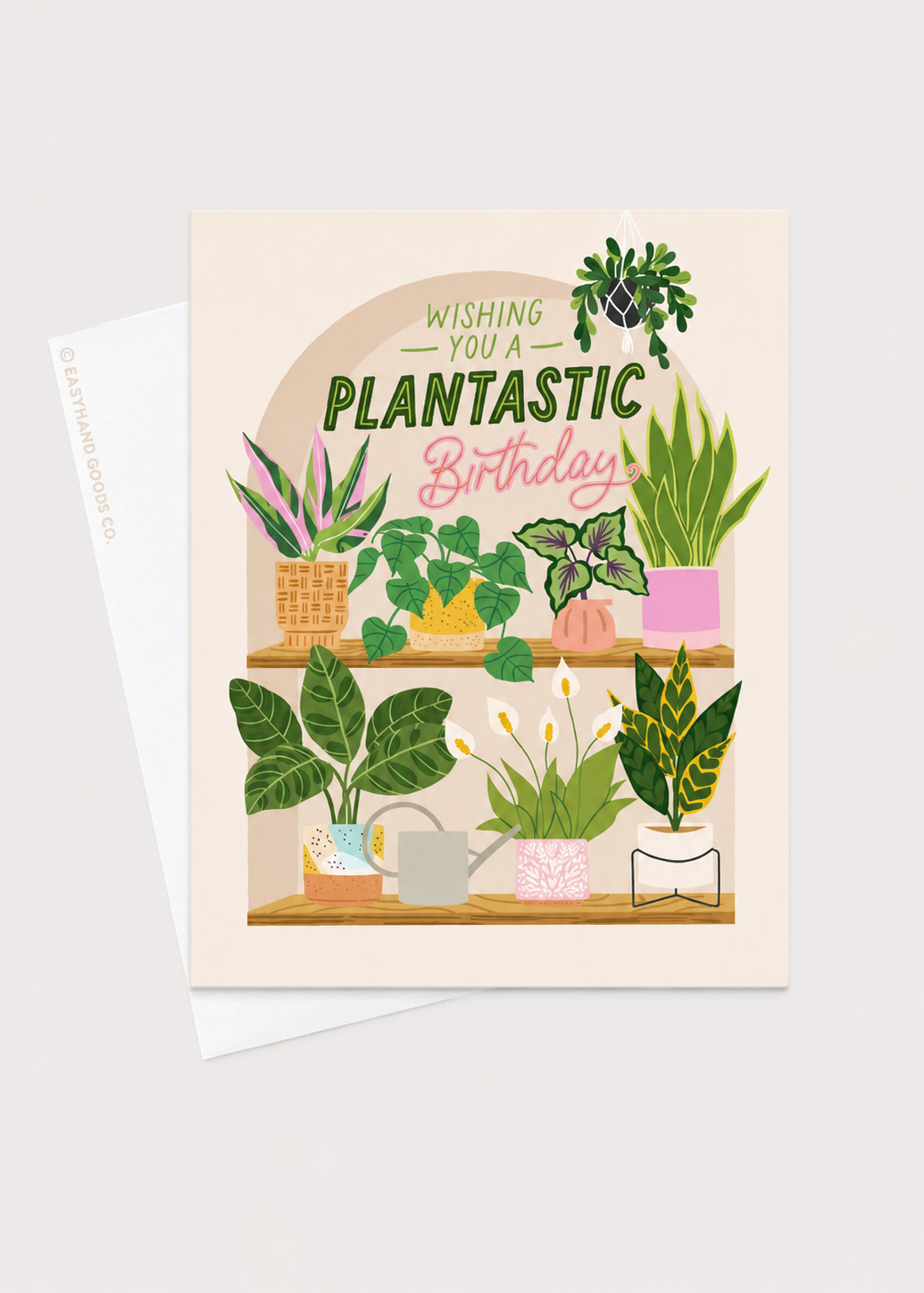 Greeting card with illustrations of plants and 'Wishing you a plantastic birthday' text on a white background.