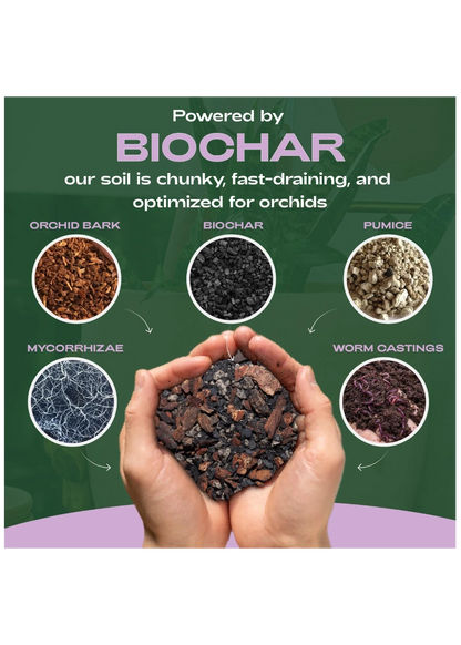 Rosy Soil Organic Orchid Mix - Premium Fast Draining Orchid Potting Soil with Biochar & Mycorrhizae