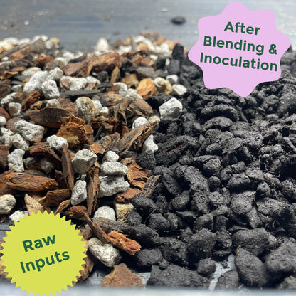 Rosy Soil Cactus & Succulent Mix - Fast Draining Organic Soil for Cacti & Succulents