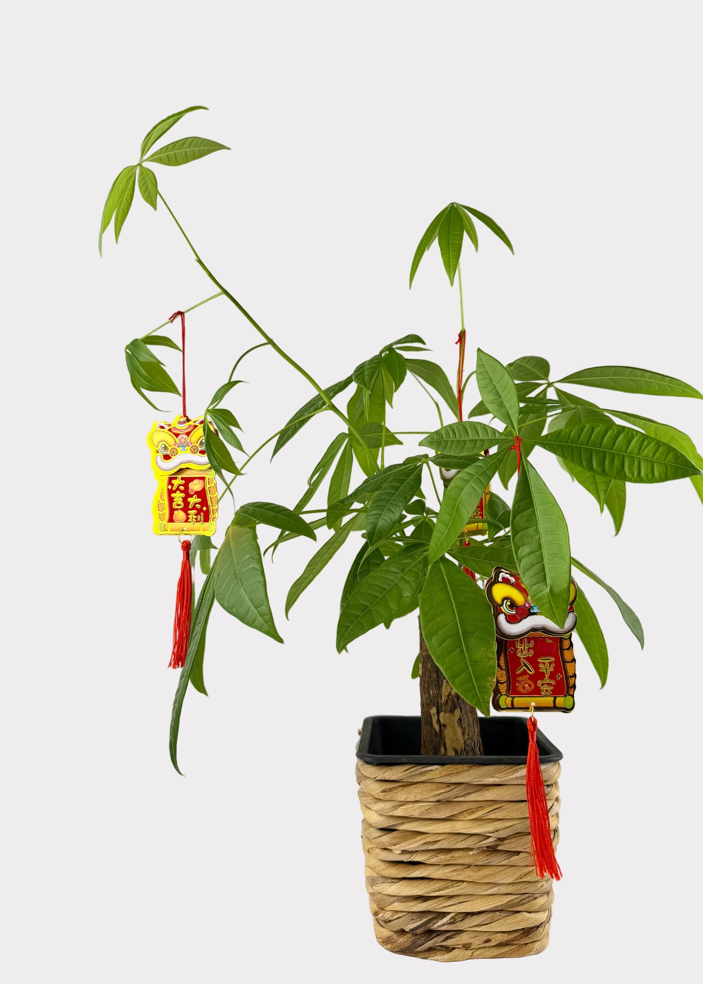 Paper Dancing Lion Ornament Charms - Red & Gold Good Luck Phrases - 5 Pack