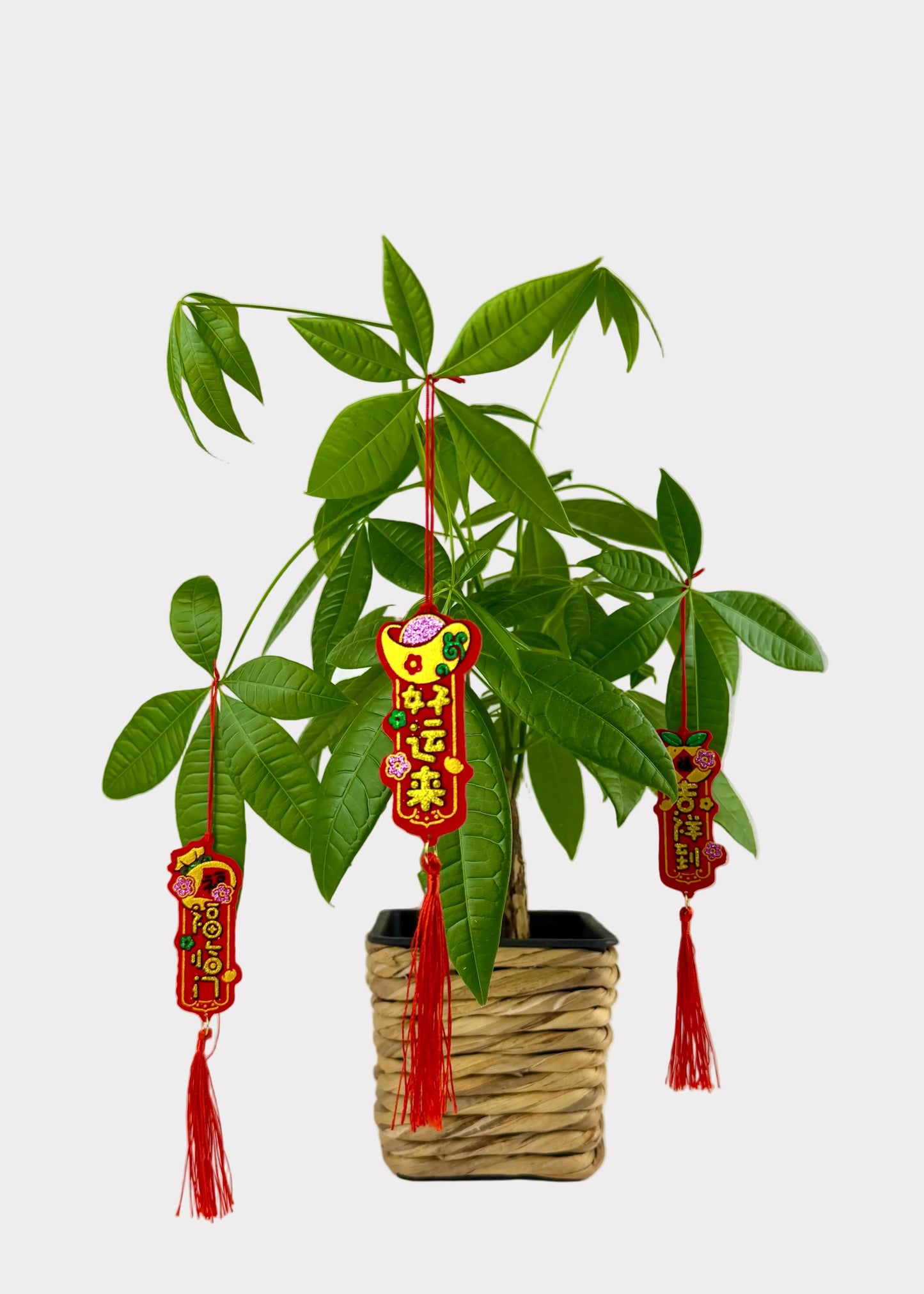 Vertical Lucky Symbol Felt Ornament Charms - Red & Gold Glitter Tassels - 6 Count Assorted