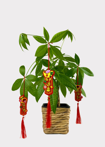 Vertical Lucky Symbol Felt Ornament Charms - Red & Gold Glitter Tassels - 6 Count Assorted