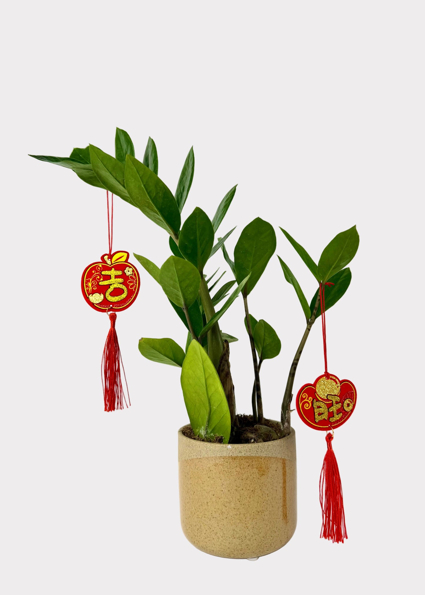 Felt Lunar New Year Ornament Charms - Red & Gold Glitter Tassels - 6 Count Assorted