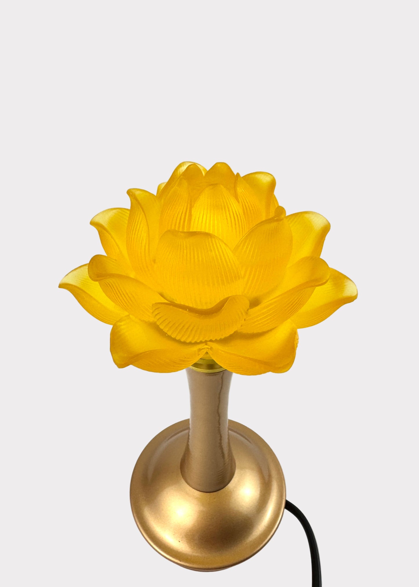 Lotus Lamp Pair – Solid Yellow – Golden Base