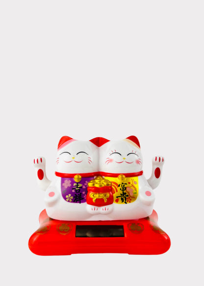J-CAT06-D