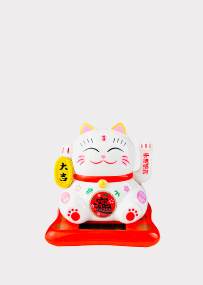 J-CAT08-B