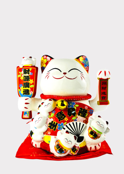 J-CAT2072-M