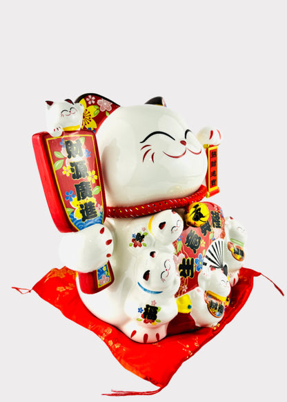 J-CAT2072-M