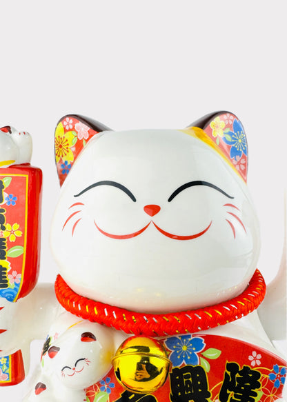 J-CAT2072-M