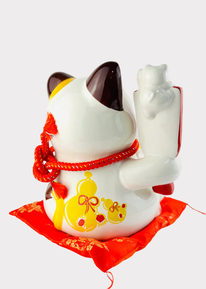 J-CAT2072-M