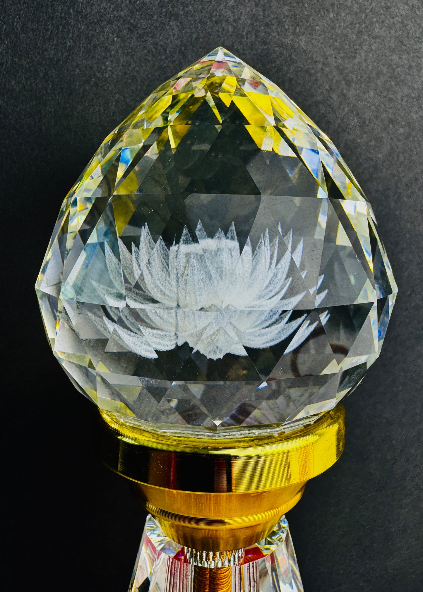 RB-LAMP02