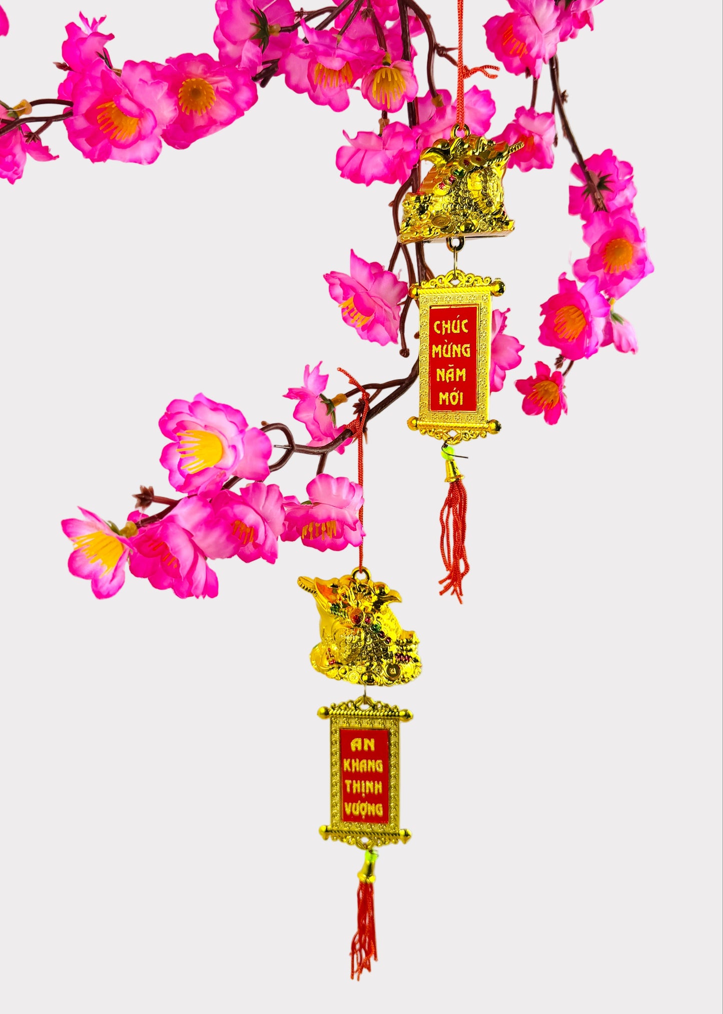 Golden Frog with Lucky Scroll Ornament – Lunar New Year & Tet (5 Count)