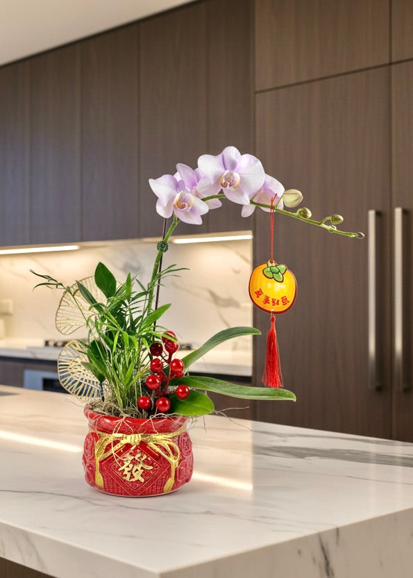 Lunar New Year Orchid Arrangement - Premium Foliage - Red Wealth Pot
