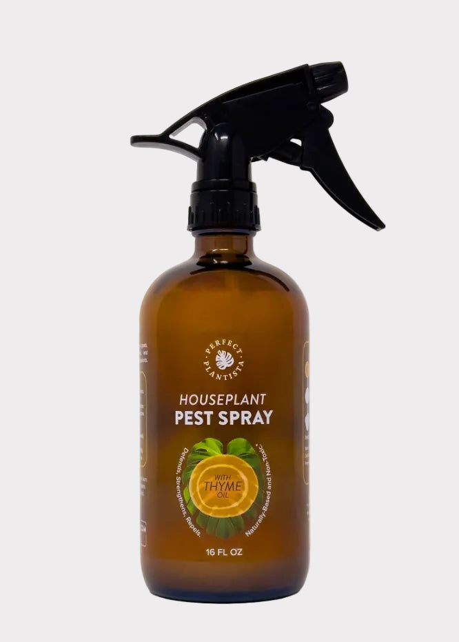 Brown spray bottle labeled 'Houseplant Pest Spray' with a black nozzle on a white background