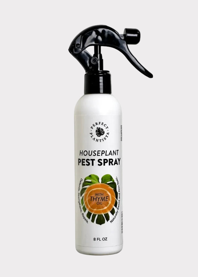 Houseplant pest spray bottle with thyme oil on a white background