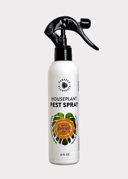 Houseplant pest spray bottle with thyme oil on a white background