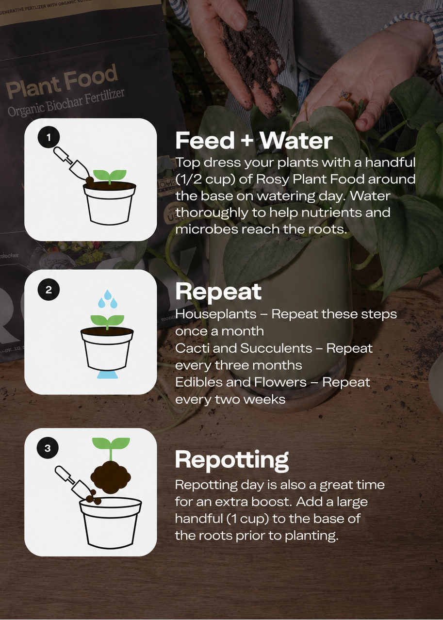 Rosy Soil Plant Food - Organic Microbially Active Fertilizer for Houseplants, Herbs & Flowers