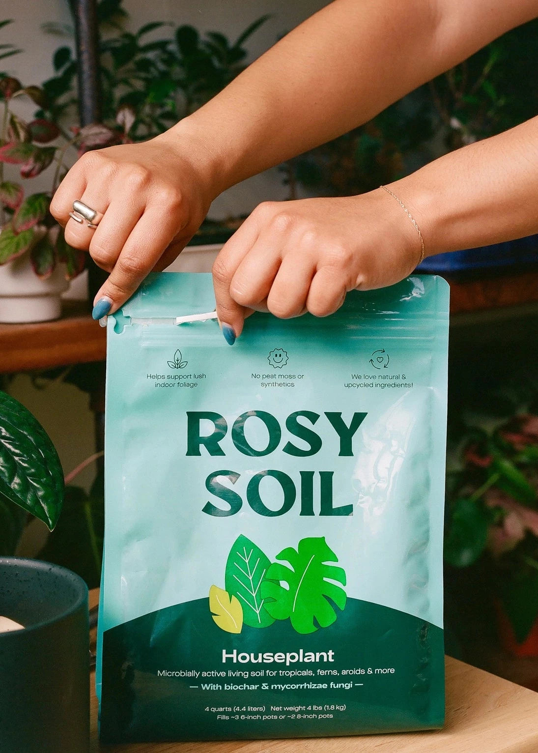 Rosy Soil Houseplant Potting Mix 4QT - Peat Free Indoor Plant Soil with Biochar & Mycorrhizae