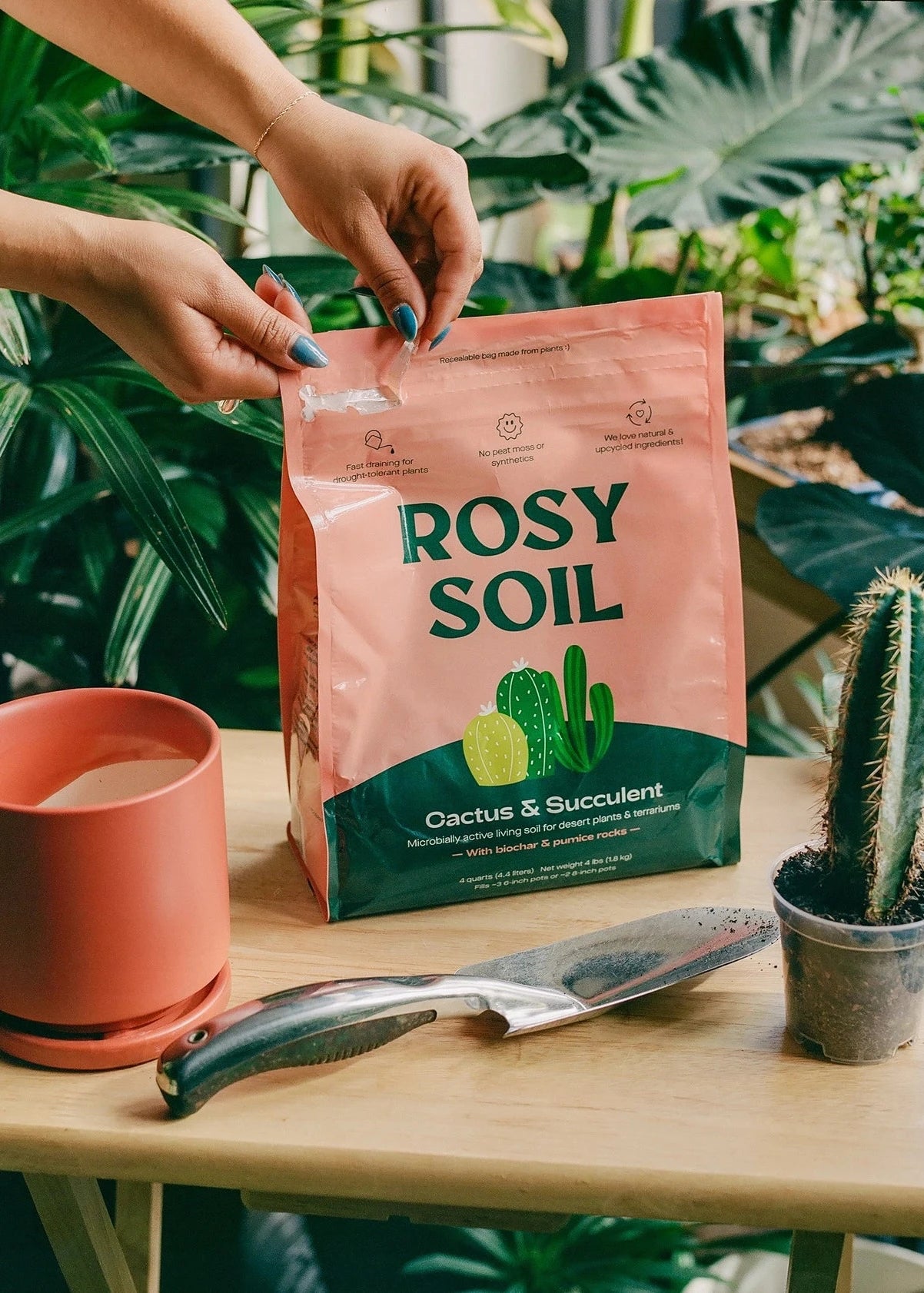 Person holding a bag of Rosy Soil for cacti and succulents with a potted plant and tools on a table.