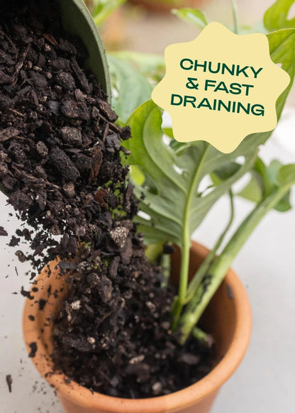 Potted plant with soil being added, labeled 'Chunky & Fast Draining'.