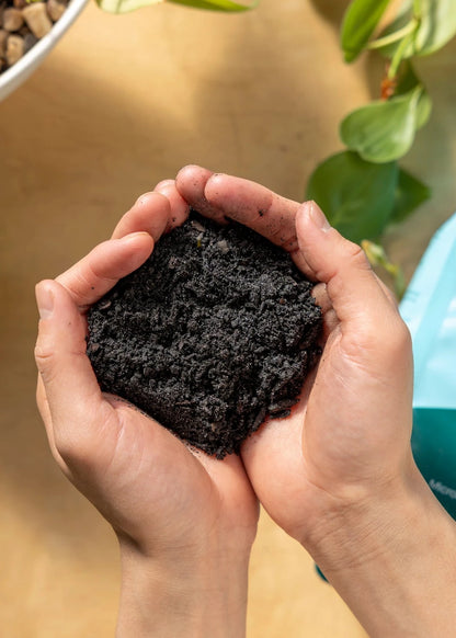 Rosy Soil Houseplant Potting Mix 4QT - Peat Free Indoor Plant Soil with Biochar & Mycorrhizae