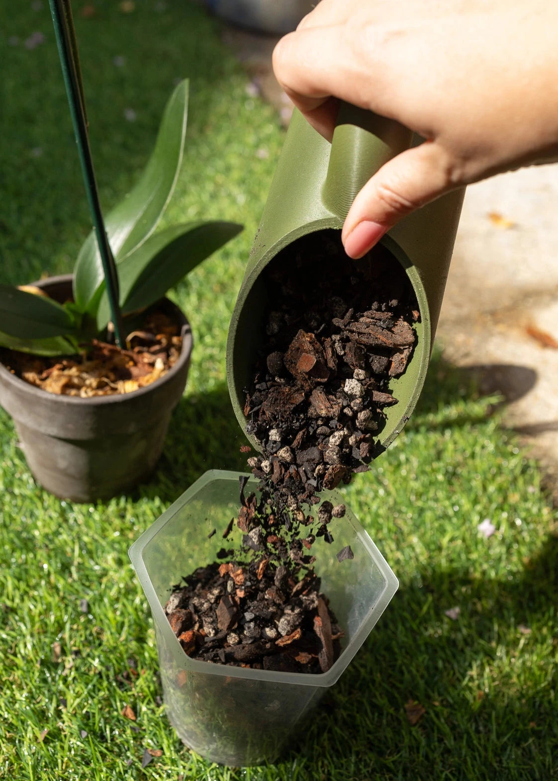 Person transferring soil from a green container into a transparent plastic pot on grass.