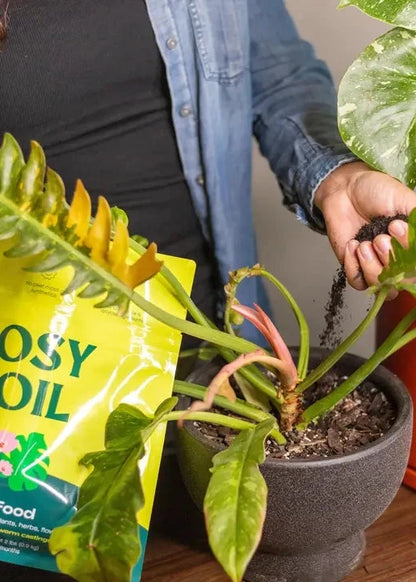 Person potting a plant with a bag of plant food in the foreground