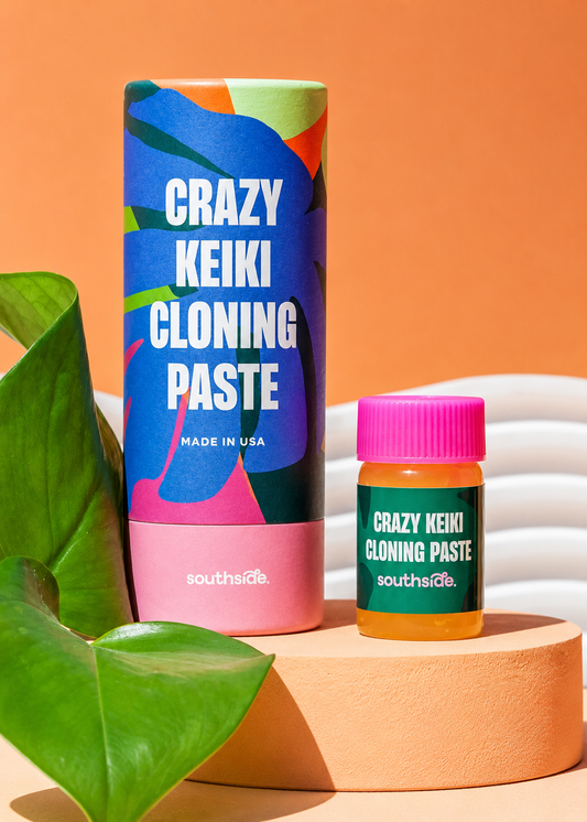 Two containers of Crazy Keiki Cloning Paste by Southside on a colorful background with leaves.