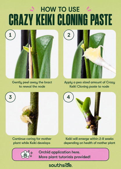 Instructions on how to use Crazy Keiki Cloning Paste with images of plant care steps.