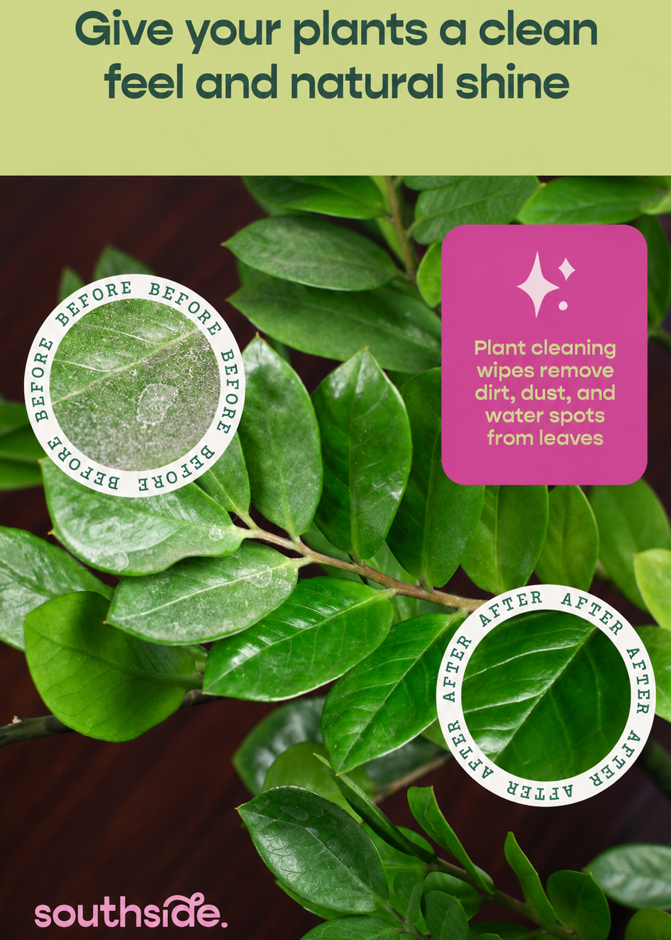Advertisement for Southside plant cleaning product with before and after images of a plant leaf.