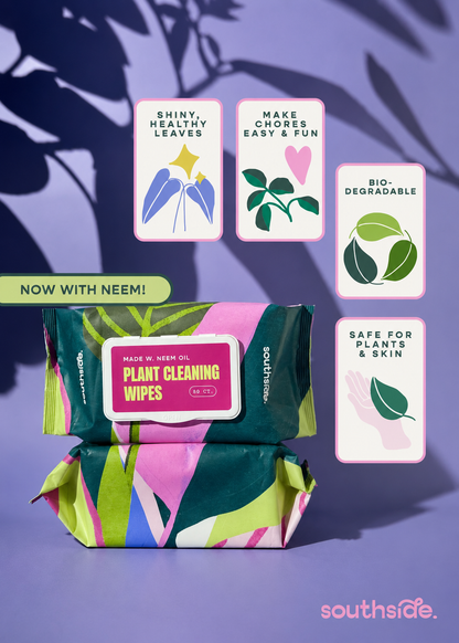 Southside plant cleaning wipes packaging with leaf-themed cards on a purple background