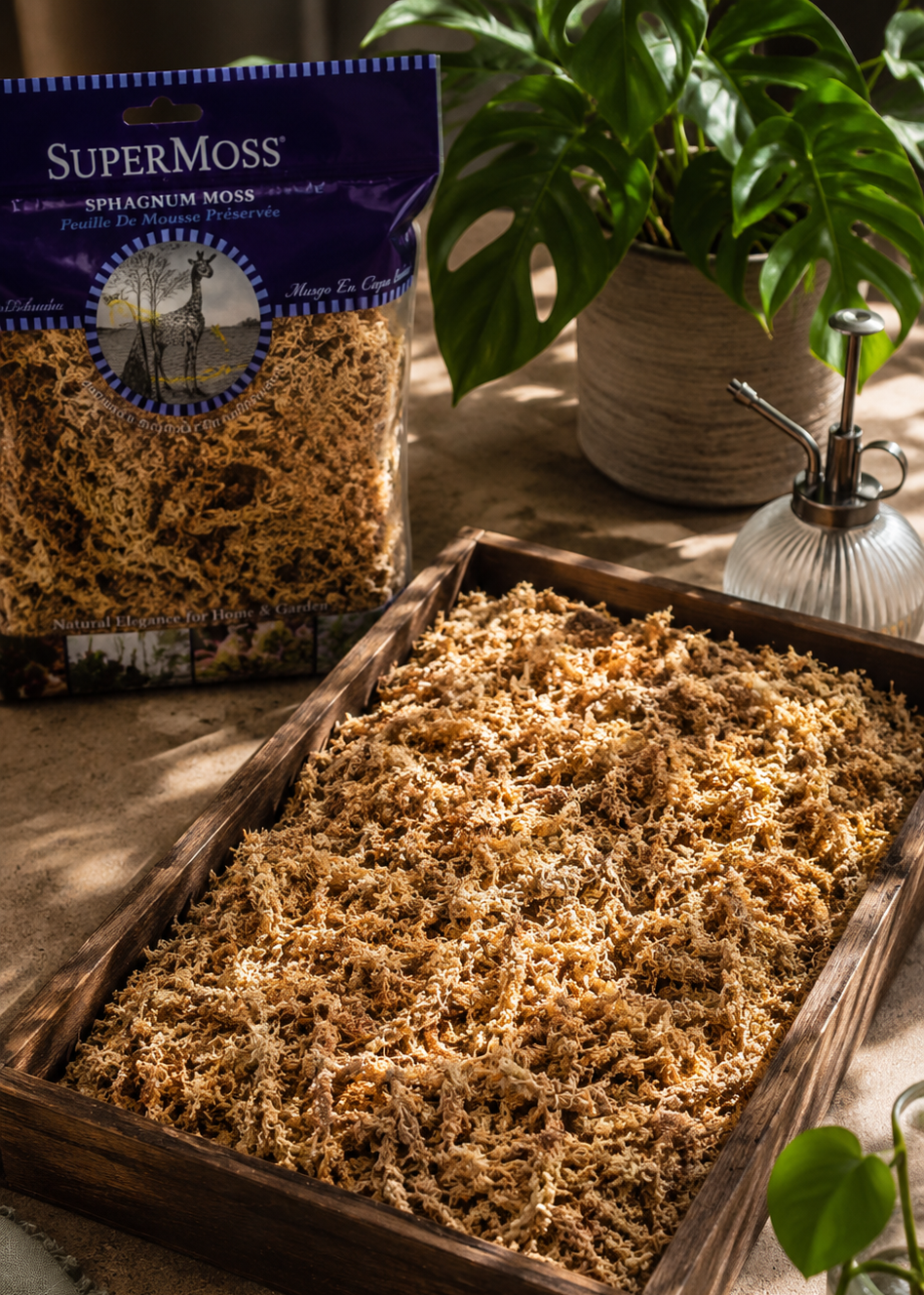 SuperMoss product packaging with a tray of moss on a wooden surface.