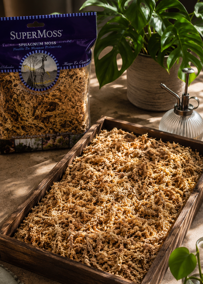 SuperMoss product packaging with a tray of moss on a wooden surface.