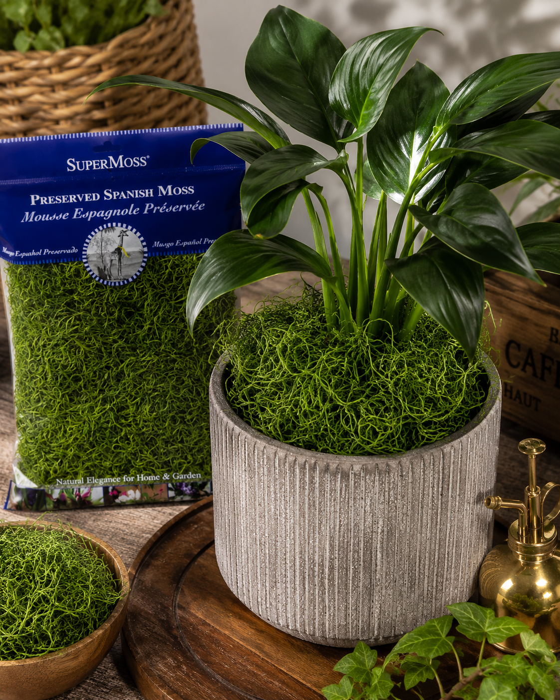 Potted plant with preserved Spanish moss and SuperMoss packaging in the background.