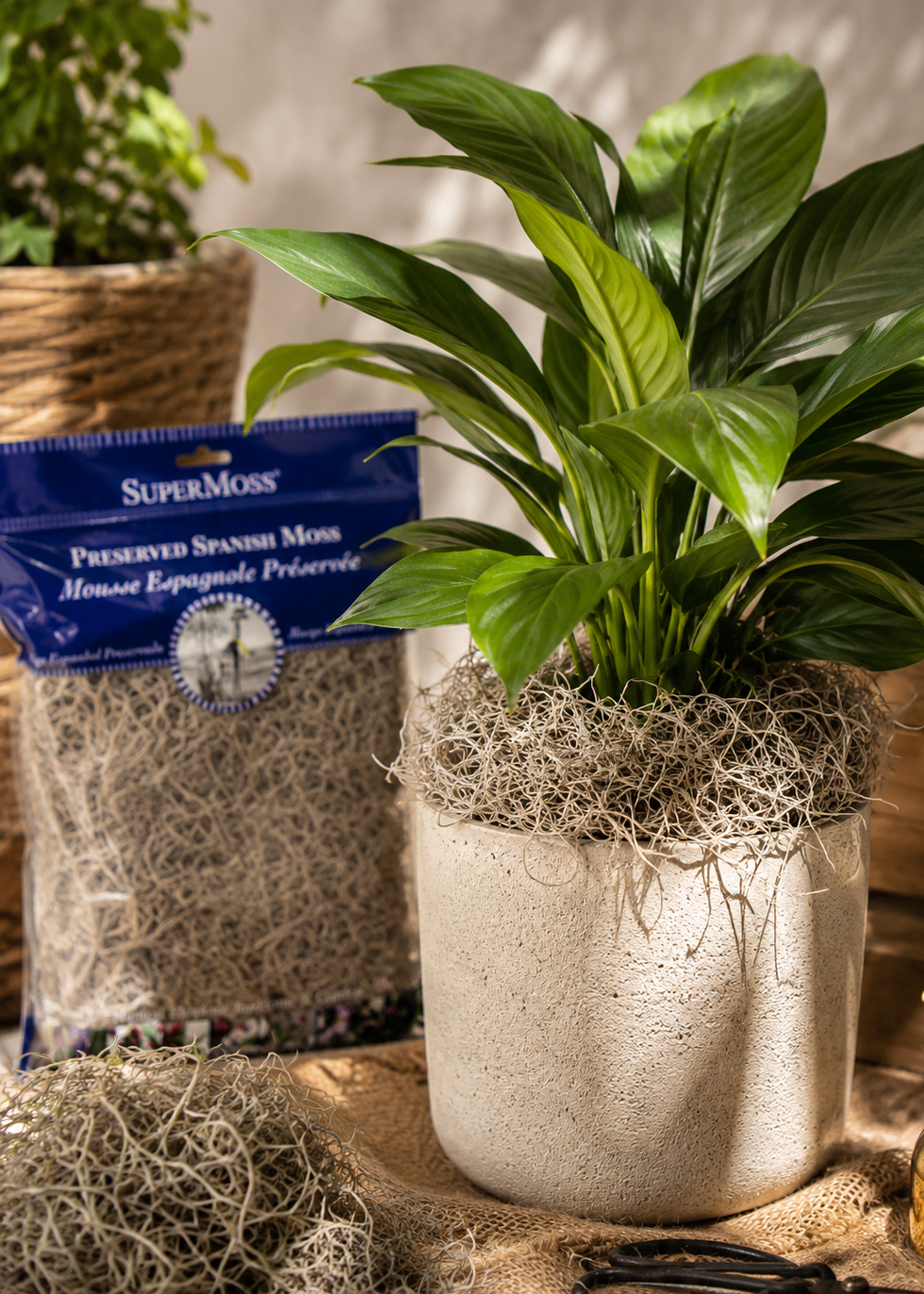 Potted plant with SuperMoss product in the background