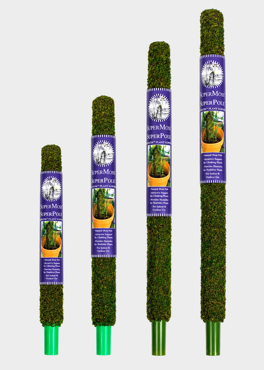 Four Super Moss Super Poles with packaging on a white background